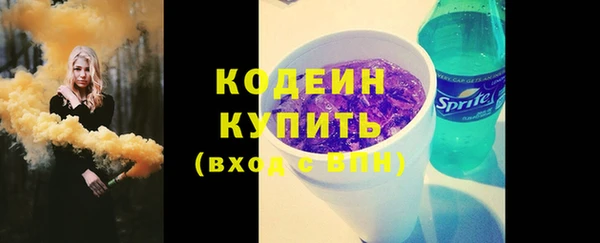 индика Корсаков