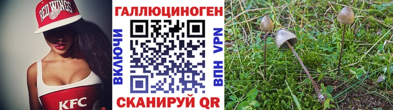 цена   MEGA ТОР  Галлюциногенные грибы мицелий  Чегем 